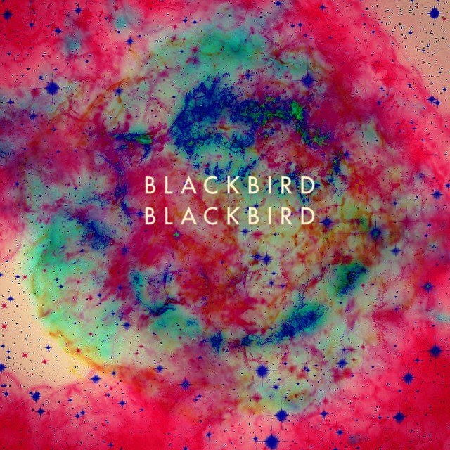 Blackbird Blackbird live in Jakarta