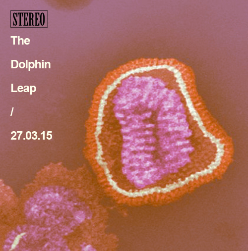 Strange Fruit akan merilis The Dolphin Leap pada Record Store Day 2015